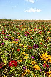 《失落的方舟》大型更新现已上线 新增竞速大赛活动